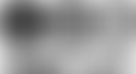 テルアビブ大学より夏季オンラインコースのご案内