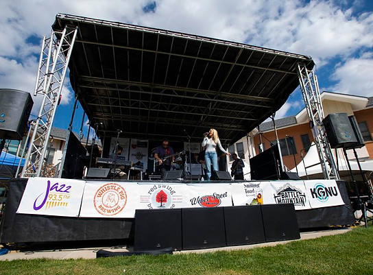 blues oh the mesa music festival.jpg