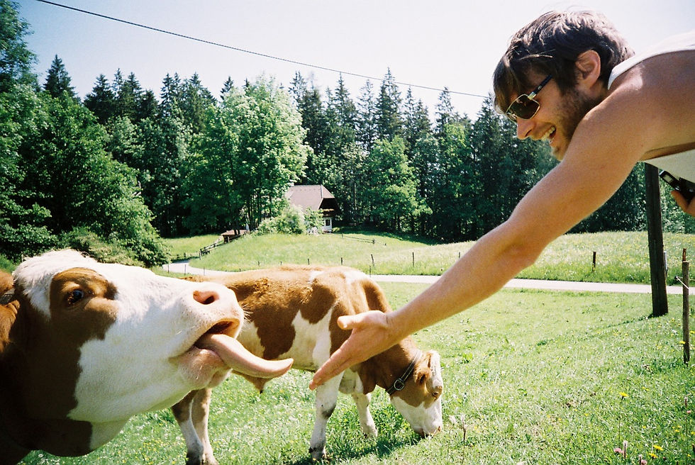 Thumbnail: Lomography 400 Colour Negative (36 Exposures)