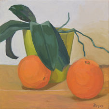 Plant and oranges, Miguel Angel Reyes