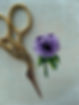 purpleflower.JPG