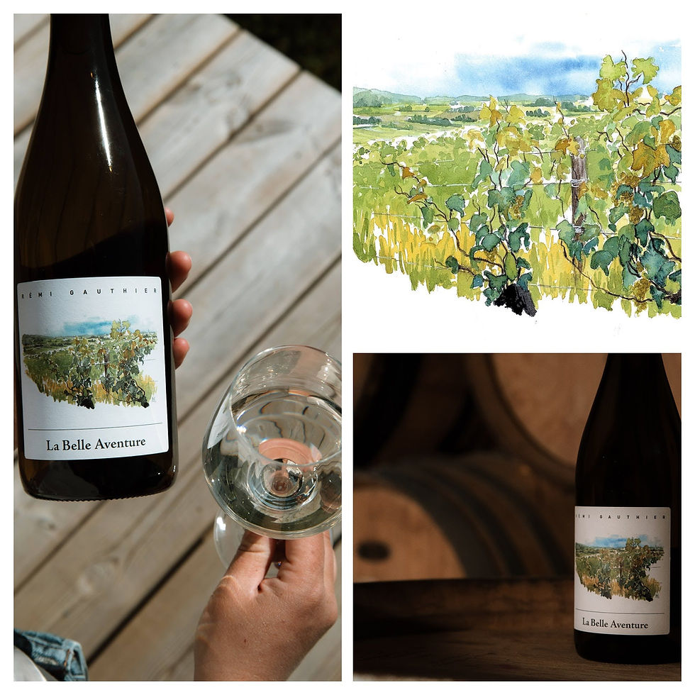 De la vigne au verre...