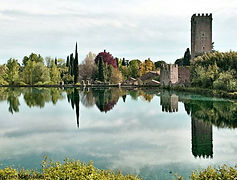 Ninfa