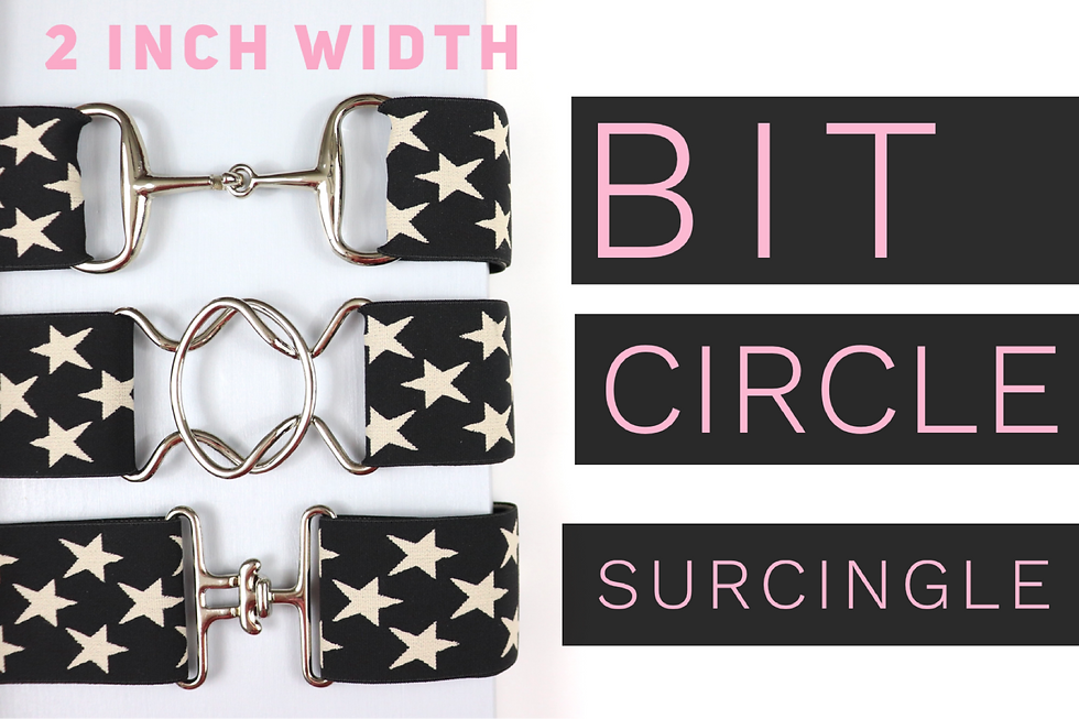 Thumbnail: 2 inch Star Elastic equestrian belt