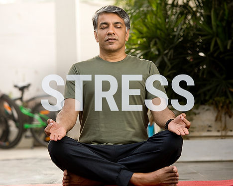 Measured_Stress.jpg