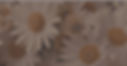 external-file_edited.jpg