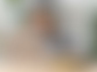 Normas APA para principiantes: Cómo citar sin morir en el intento