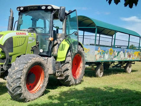 Sortie à la ferme