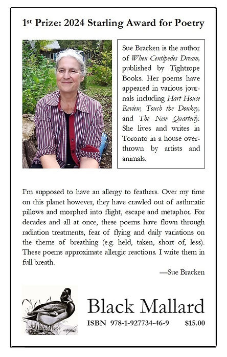 One Goose Honking by Sue Bracken Back Cover Alt 2.jpg