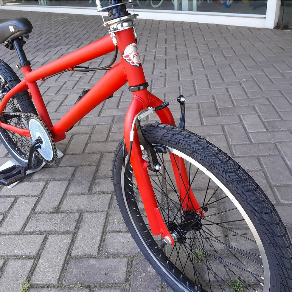 Miniatura: Bicicleta freestyle Firebird Acero rodado 20