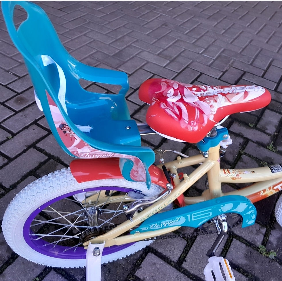 Miniatura: Topmega dama Rodado 16