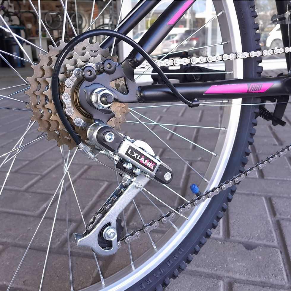 Miniatura: Fire Bird Dama MTB Acero Rodado 24