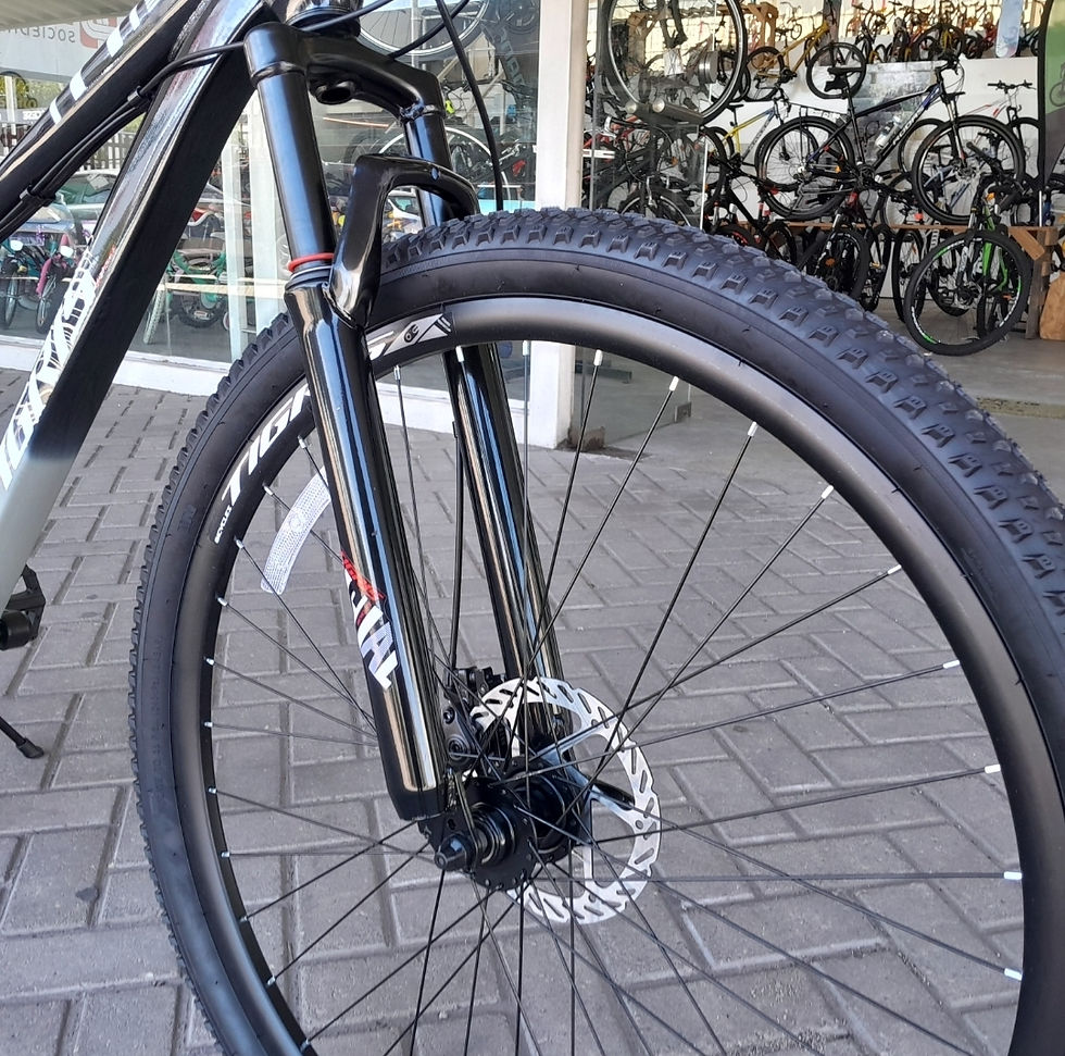 Miniatura: BIC TOP MEGA TIGIRS MTB    rodado 29 21 V