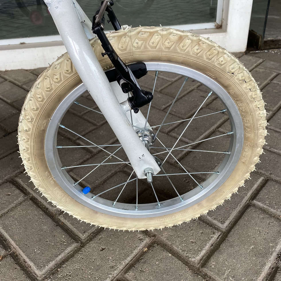 Miniatura: Paseo dama Rodado 16