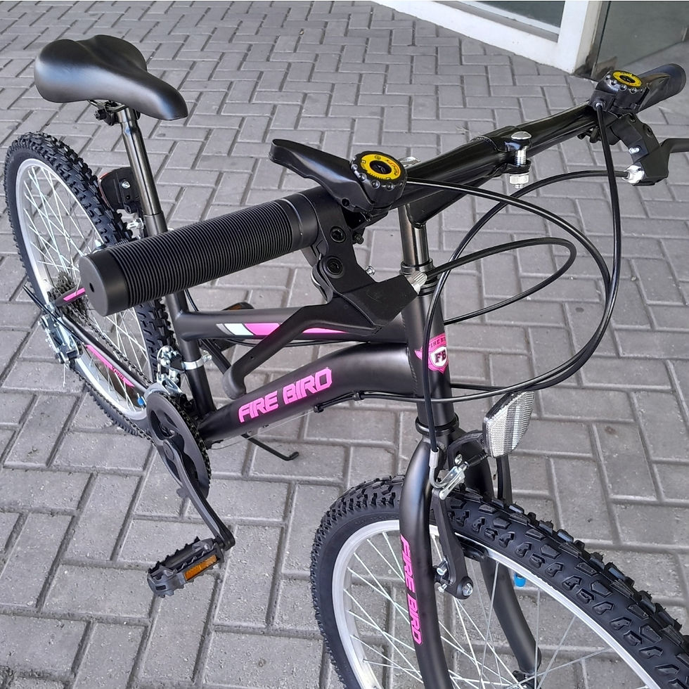 Miniatura: Fire Bird Dama MTB Acero Rodado 24