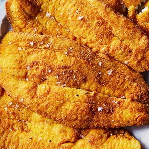 2 piece Fish Plate