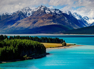NZ2.jpg