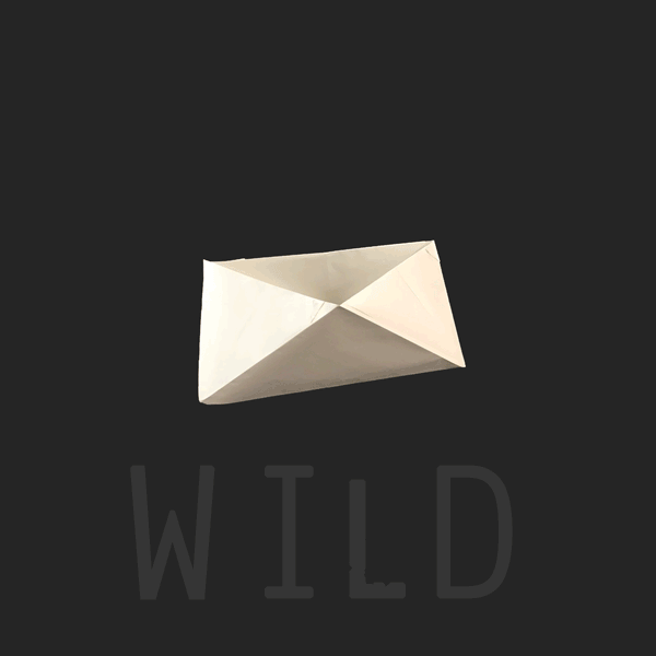 wild.gif