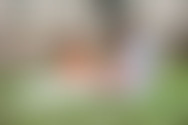 Uma nova geração de pais revoluciona a paternidade no mundo