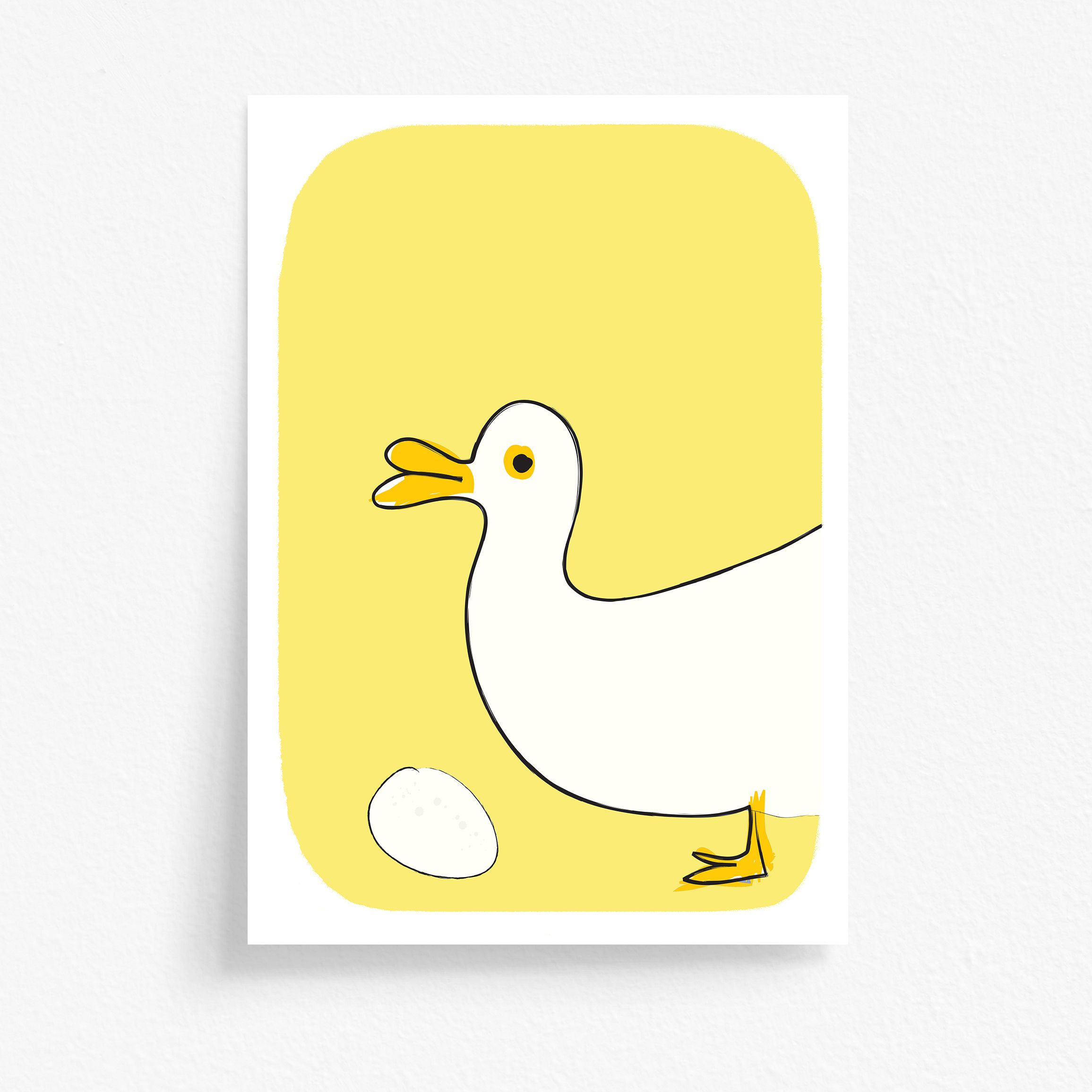 White Duck