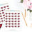 Thumbnail: Tampa Bay Buccaneers Football Reminder or Planner Stickers