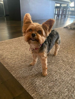 IMAGE 2026-01-02 18_48_17