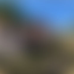 ¿Qué hacer en Boquete? Actividades, proveedores y precios para tu estadía restauradora