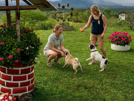 Dos mujeres sonrientes jugando con dos perros en los amplios jardines verdes al aire libre de Cabañas Linda Vista en Boquete.