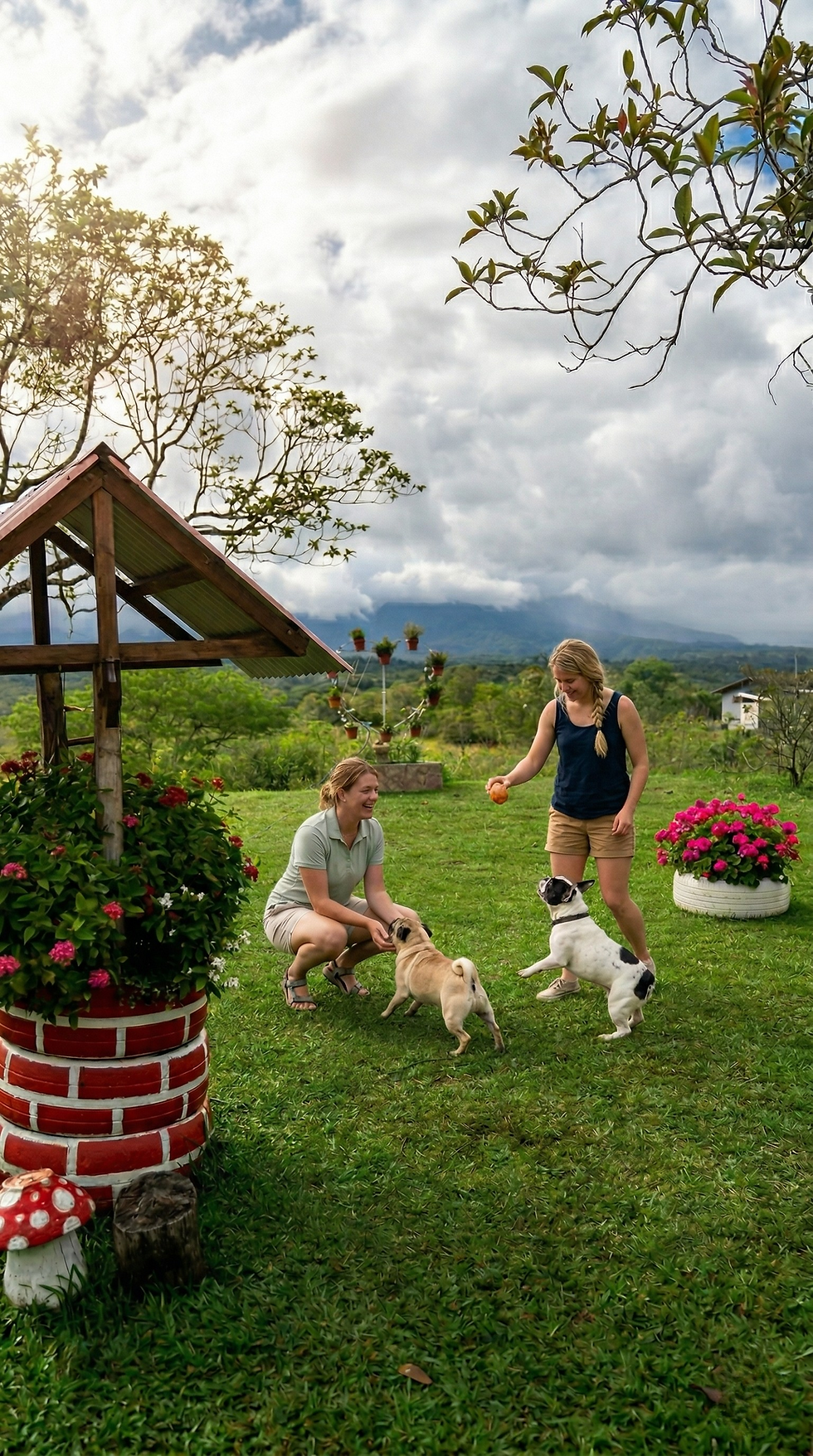 Pet-friendly tourism in Panama: discover a natural paradise for you and your furry friend