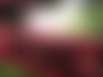 At least a dozen cops from Connecticut to Mississippi were shot last week