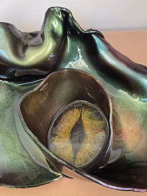 Dragon's gaze - Gallery