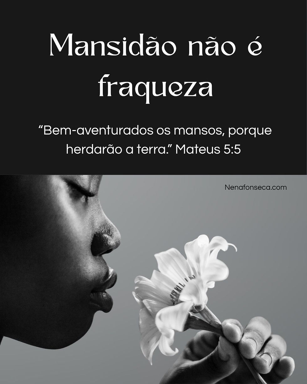 Mansidão não é fraqueza