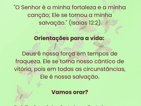 Devocional diário - 24 de outubro de 2024