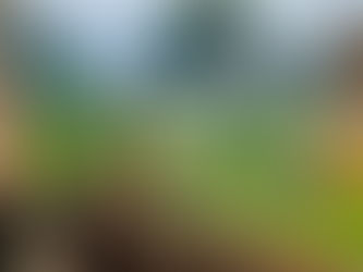 Perseverança para vencer!