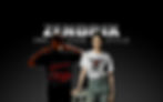 main banner2_edited.jpg