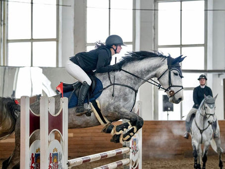  Beyond the Saddle: The Growing World of Equestrian Services