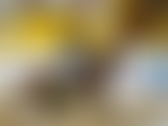 Equestrian Events in 2025: Where Tradition Meets the Future of the Sport