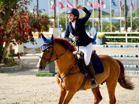 Finding the Perfect Match: A Complete Guide to Horses For Sale UK