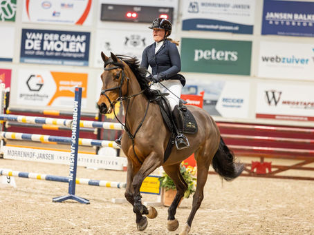 Galloping Across Borders: The Intricate World of Global Horse Trading