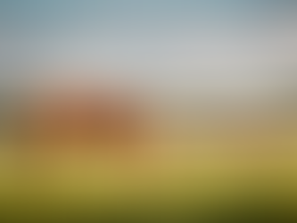 Mastering the Arena: Finding the Perfect Jumper Horse