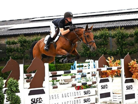 Find Your Horse: A Journey to Connecting with Your Perfect Equine Partner