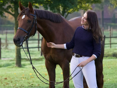 The World’s Most Coveted Equines: Inside the Realm of Exclusive Horses