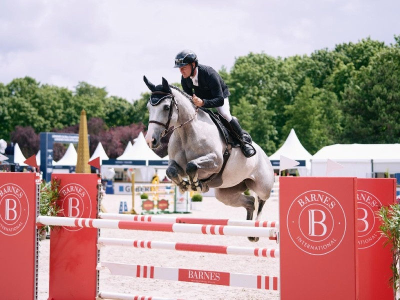 Building the Path to the Perfect Jumper Horse