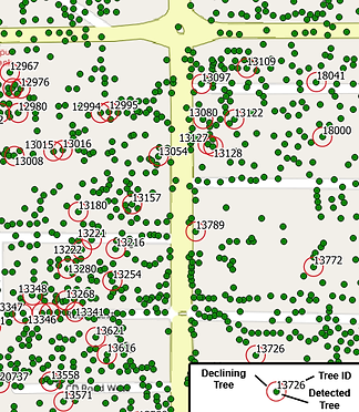 tree_location_sample.png