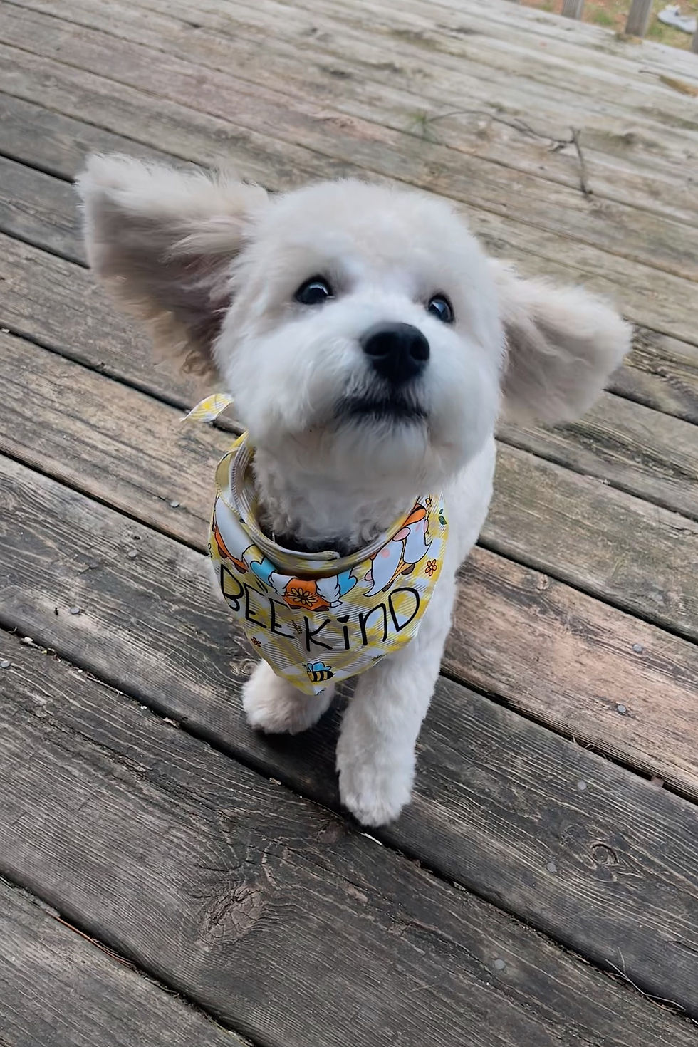 Benny