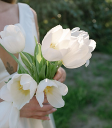 flower bouquet tulips jean bloom