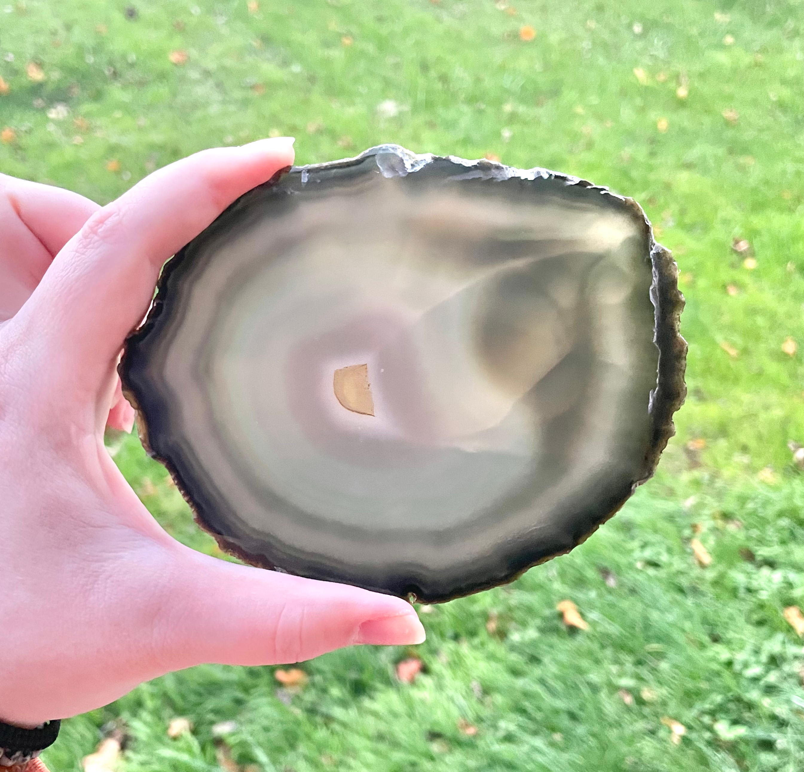 Agate Slice #D