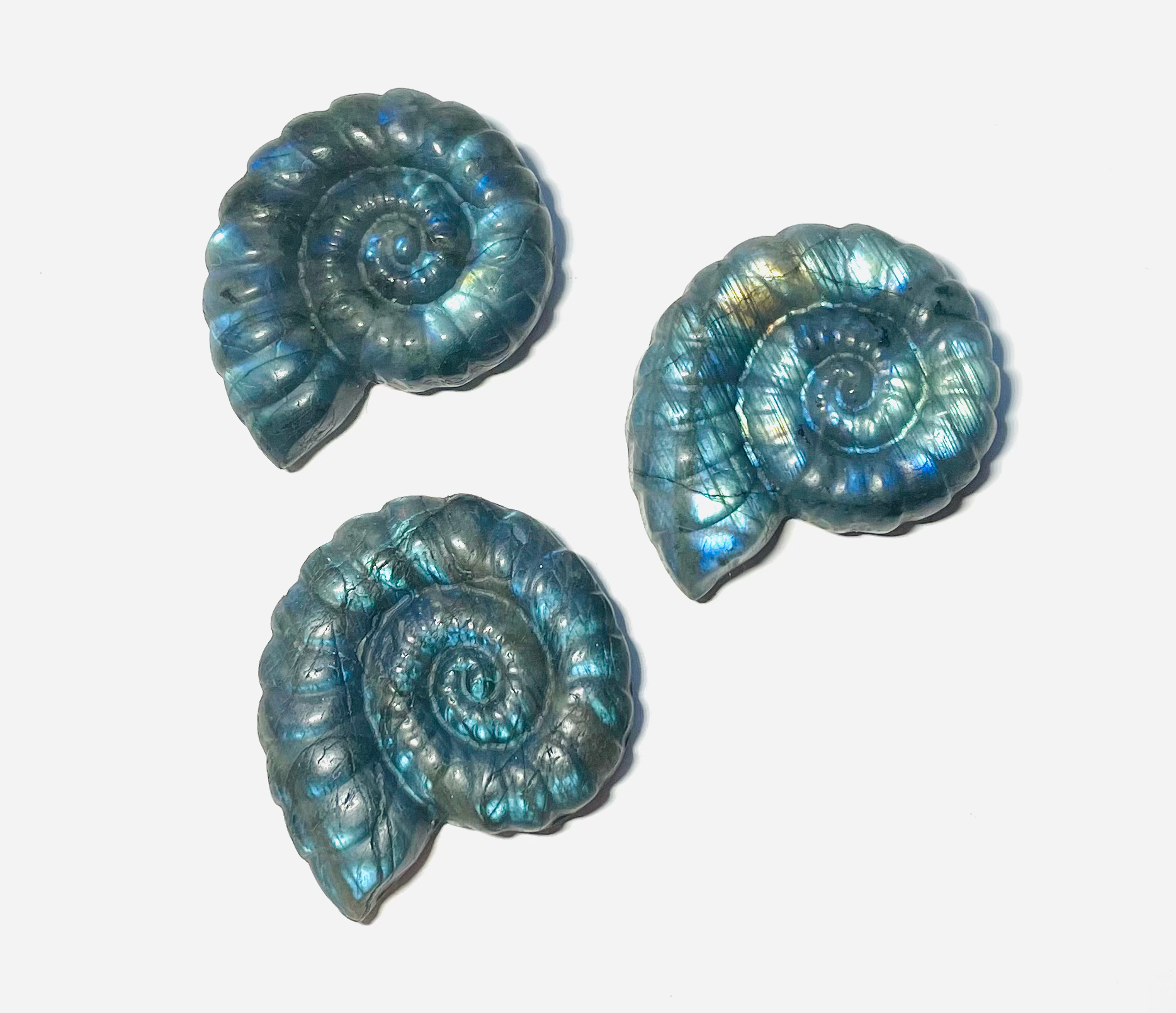 Labradorite Ammonite Carving