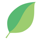 25738700.png