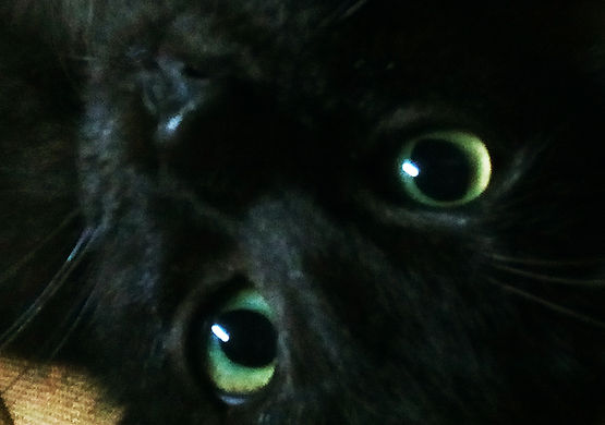 GATOULIS BATMAN 1.jpg